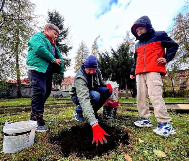 [FOTO] Uczniowie i władze Żarowa wspólnie posadzili żonkile