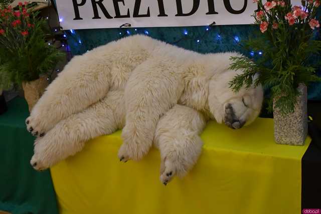 [WIDEO/FOTO] Pochód z orkiestrą, biesiada piwna, wspólne śpiewanie. Górnicy, kamieniarze i skalnicy celebrowali tegoroczną Barbórkę