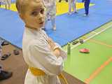 [FOTO] Młodzi judocy przywieźli worek medali z turnieju w Sławie