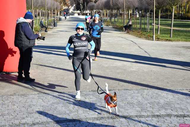 [WIDEO/FOTO] Pobiegli alejkami Parku Centralnego w finałowej odsłonie Grand Prix
