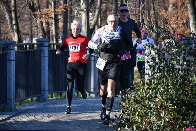 [WIDEO/FOTO] Pobiegli alejkami Parku Centralnego w finałowej odsłonie Grand Prix