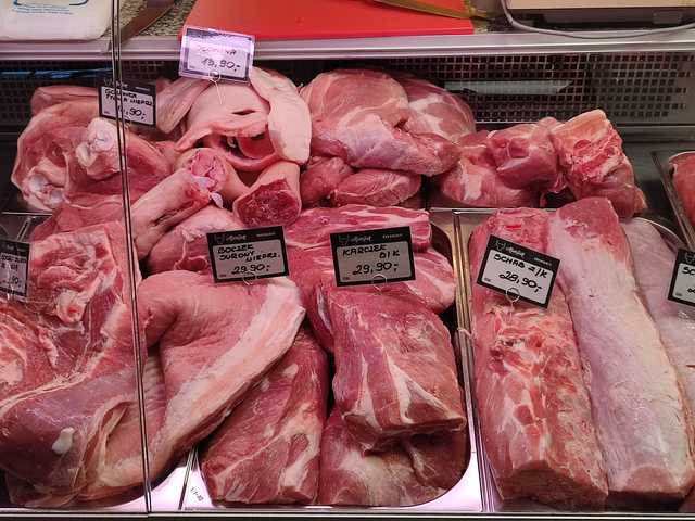 galeria