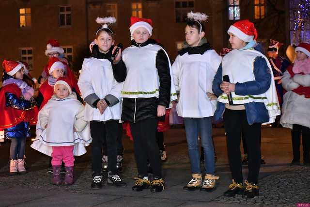 [WIDEO/FOTO] Występy artystyczne i ciepły poczęstunek podczas Wigilii Organizacji Pozarządowych w Świdnicy