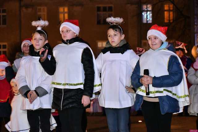 [WIDEO/FOTO] Występy artystyczne i ciepły poczęstunek podczas Wigilii Organizacji Pozarządowych w Świdnicy