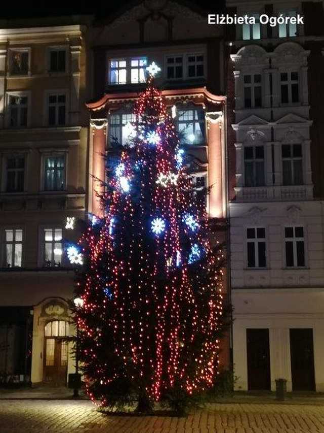 [FOTO] Zobaczcie najpiękniejsze zdjęcia świdniczan! Rozstrzygnięto konkurs fotograficzny Świątecznie w Świdnicy