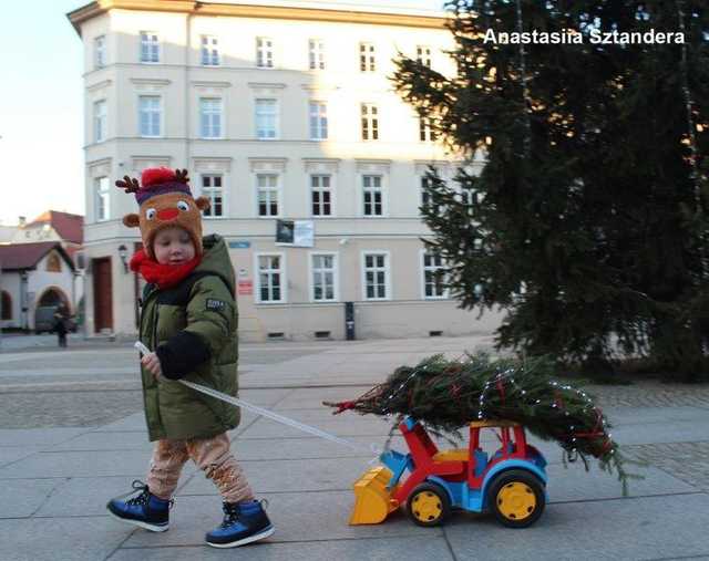 [FOTO] Zobaczcie najpiękniejsze zdjęcia świdniczan! Rozstrzygnięto konkurs fotograficzny Świątecznie w Świdnicy