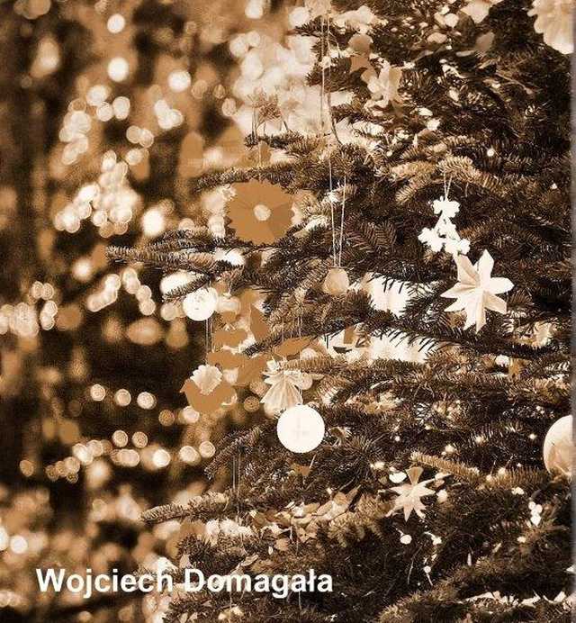 [FOTO] Zobaczcie najpiękniejsze zdjęcia świdniczan! Rozstrzygnięto konkurs fotograficzny Świątecznie w Świdnicy