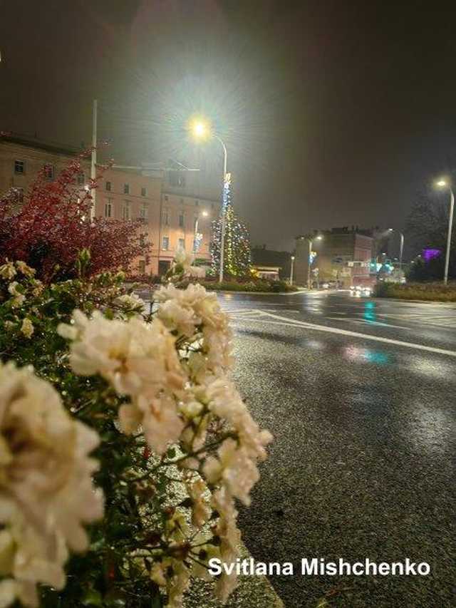 [FOTO] Zobaczcie najpiękniejsze zdjęcia świdniczan! Rozstrzygnięto konkurs fotograficzny Świątecznie w Świdnicy