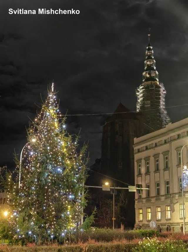 [FOTO] Zobaczcie najpiękniejsze zdjęcia świdniczan! Rozstrzygnięto konkurs fotograficzny Świątecznie w Świdnicy