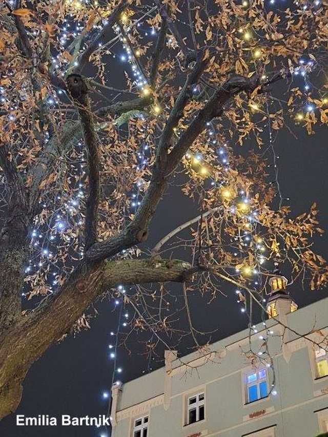 [FOTO] Zobaczcie najpiękniejsze zdjęcia świdniczan! Rozstrzygnięto konkurs fotograficzny Świątecznie w Świdnicy