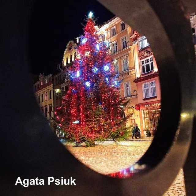 [FOTO] Zobaczcie najpiękniejsze zdjęcia świdniczan! Rozstrzygnięto konkurs fotograficzny Świątecznie w Świdnicy