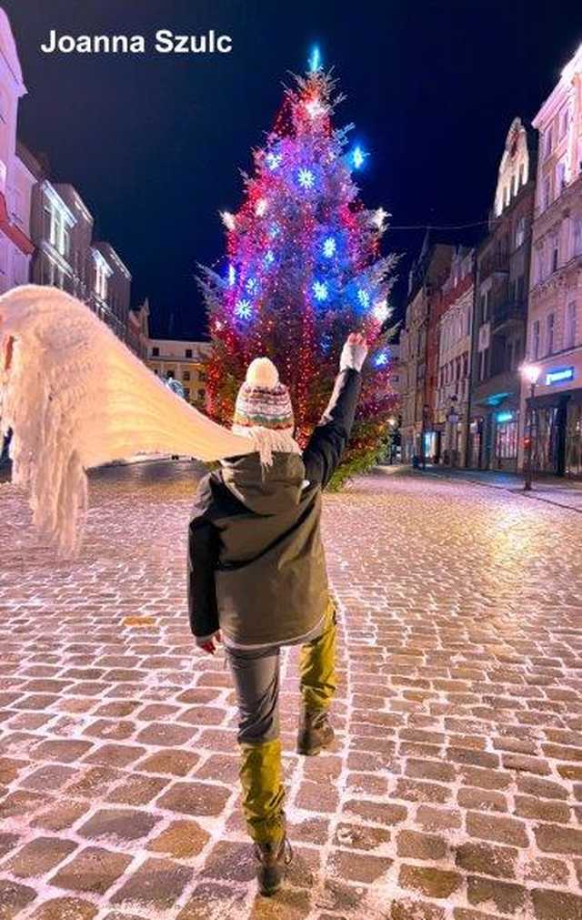 [FOTO] Zobaczcie najpiękniejsze zdjęcia świdniczan! Rozstrzygnięto konkurs fotograficzny Świątecznie w Świdnicy