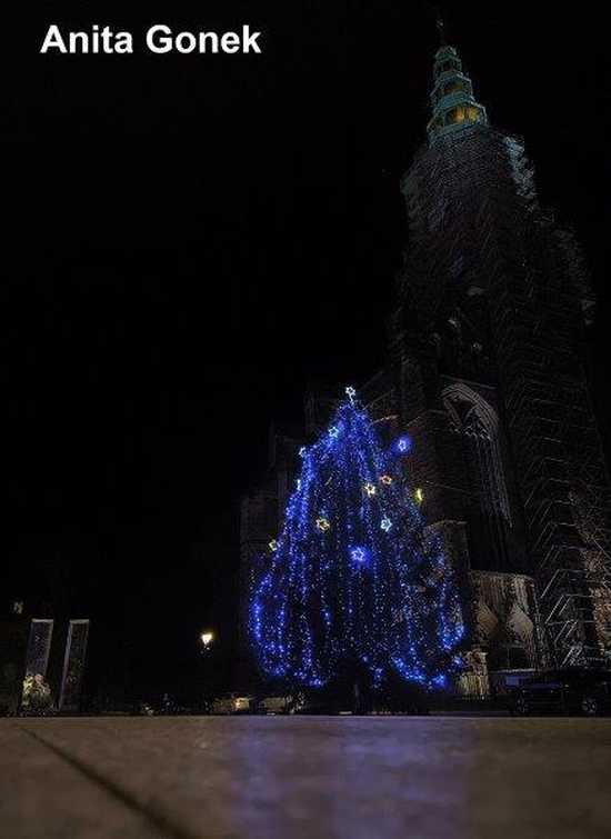 [FOTO] Zobaczcie najpiękniejsze zdjęcia świdniczan! Rozstrzygnięto konkurs fotograficzny Świątecznie w Świdnicy