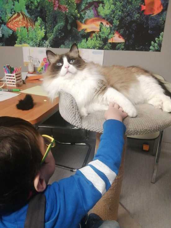 [FOTO] Terapia ma być przyjemnością!. Rozmowa z Katarzyną Słupską - felinoterapeutką