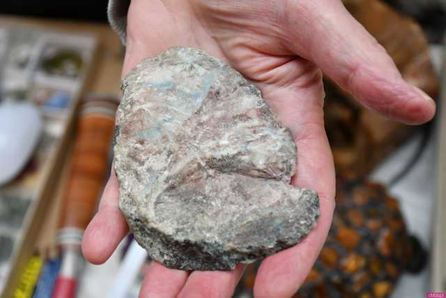 [WIDEO/FOTO] Ależ okazy! Ruszyła XII Giełda Minerałów i Biżuterii w Galerii Świdnickiej