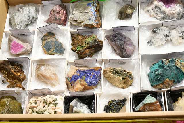 [WIDEO/FOTO] Ależ okazy! Ruszyła XII Giełda Minerałów i Biżuterii w Galerii Świdnickiej