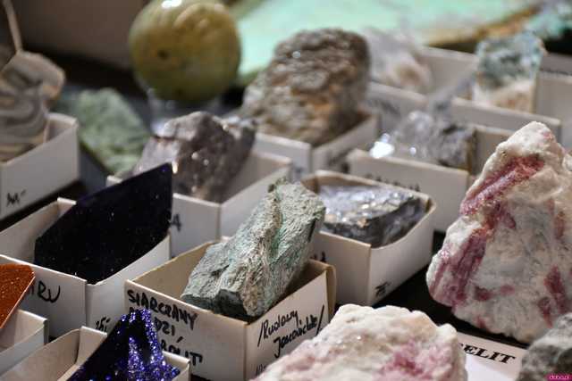 [WIDEO/FOTO] Ależ okazy! Ruszyła XII Giełda Minerałów i Biżuterii w Galerii Świdnickiej