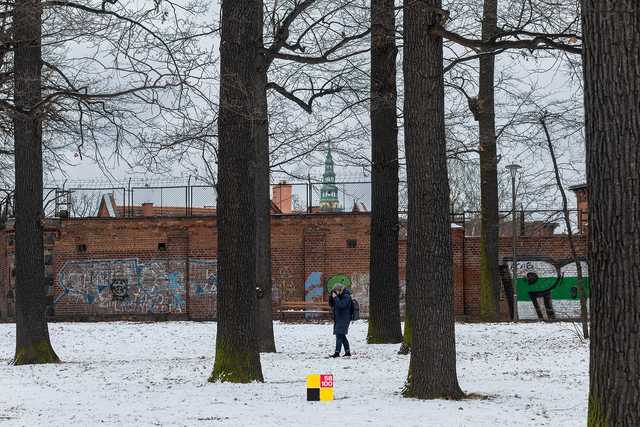 [FOTO] Udana randka z fotografią. Zobaczcie zdjęcia z Walentynkowego Spaceru Fotograficznego 58100