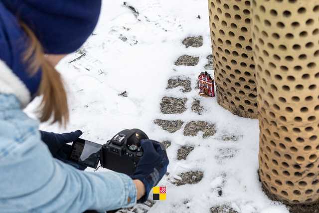 [FOTO] Udana randka z fotografią. Zobaczcie zdjęcia z Walentynkowego Spaceru Fotograficznego 58100