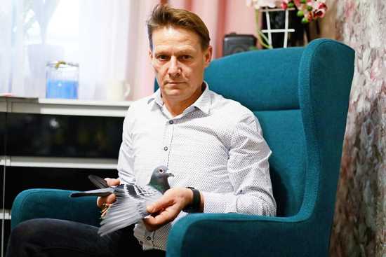 [FOTO] Mistrzowskie gołębie ze Związku Hodowców Gołębi Pocztowych 