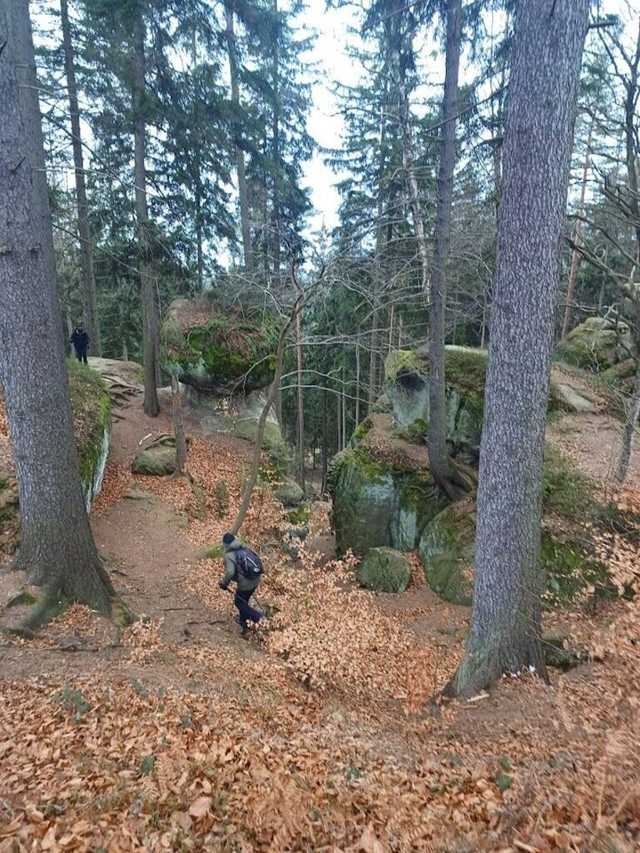 [FOTO] Żarodreptaki odwiedziły Góry Stołowe