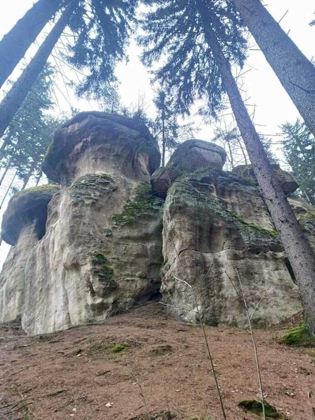 [FOTO] Żarodreptaki odwiedziły Góry Stołowe