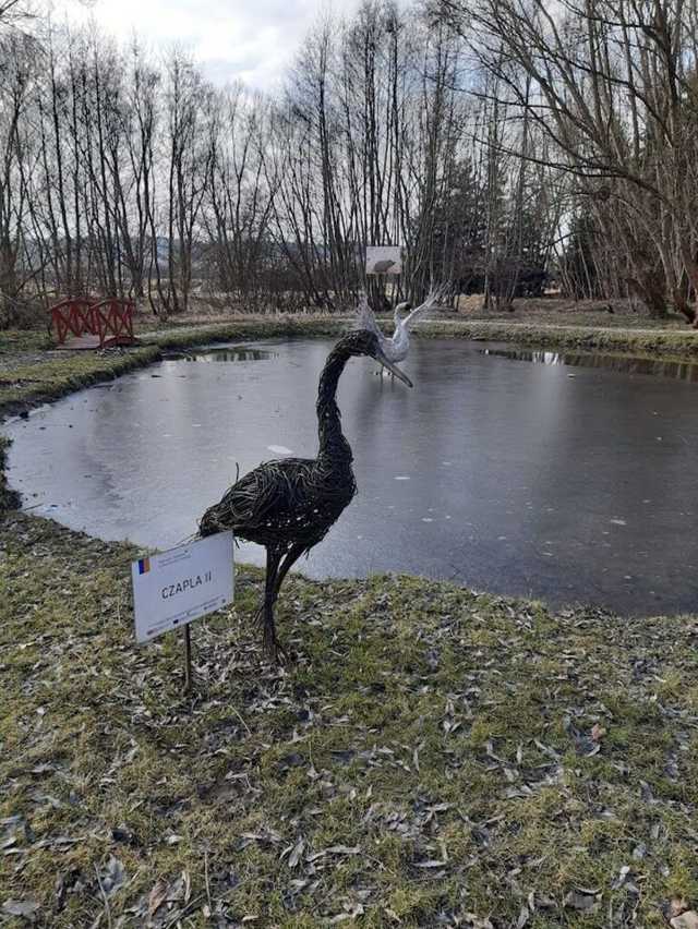 [FOTO] Żarodreptaki odwiedziły Góry Stołowe