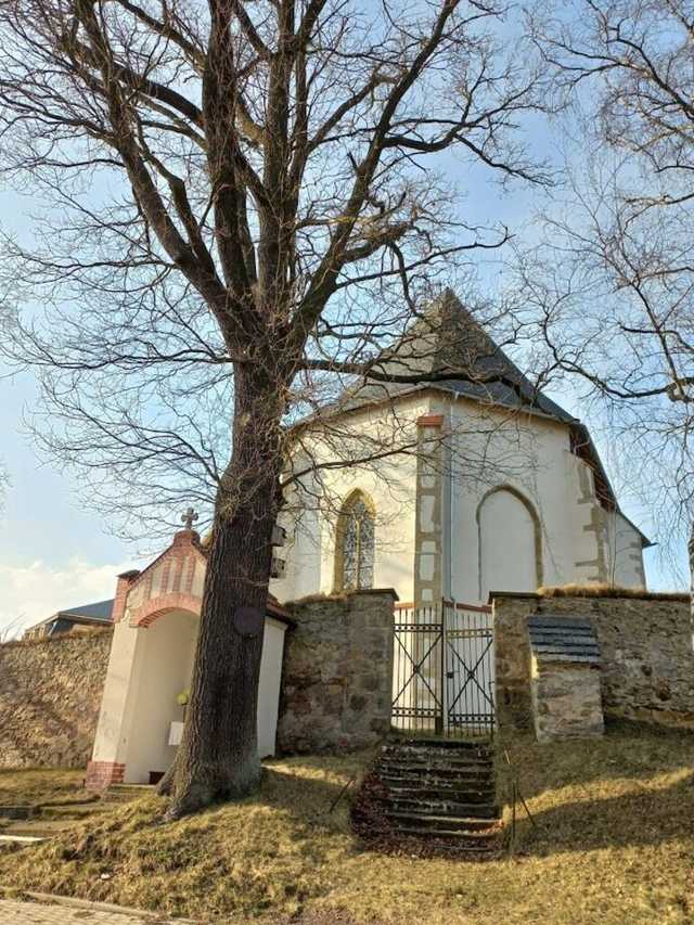 [FOTO] Żarodreptaki odwiedziły Góry Stołowe
