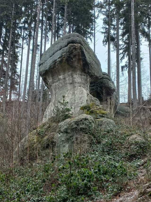 [FOTO] Żarodreptaki odwiedziły Góry Stołowe