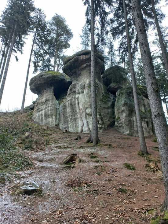 [FOTO] Żarodreptaki odwiedziły Góry Stołowe