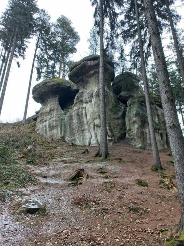 [FOTO] Żarodreptaki odwiedziły Góry Stołowe