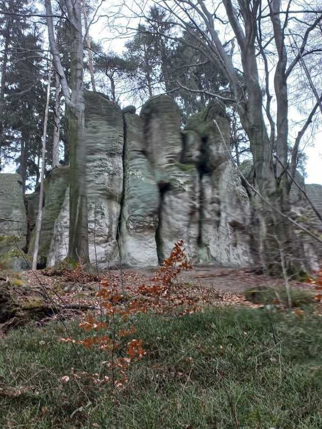 [FOTO] Żarodreptaki odwiedziły Góry Stołowe