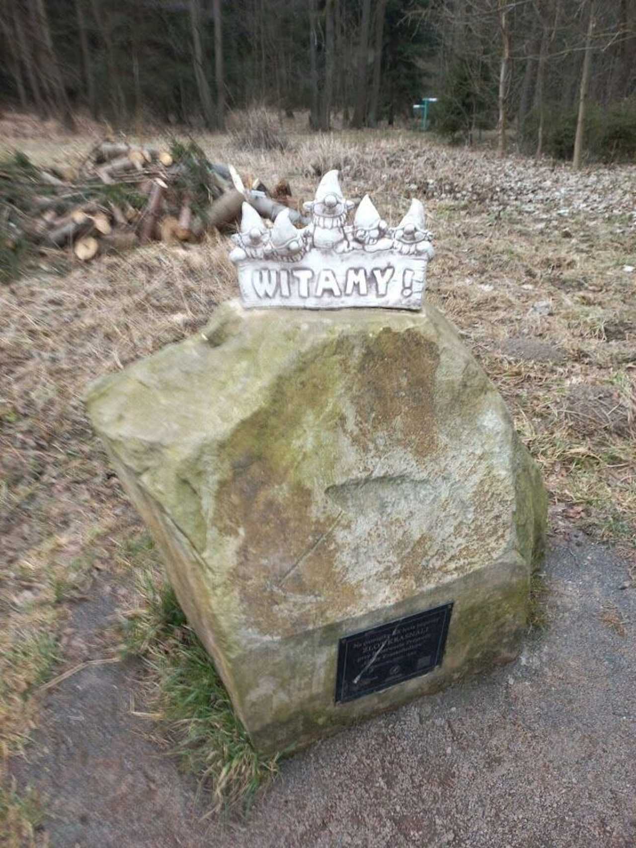 [FOTO] Żarodreptaki odwiedziły Góry Stołowe