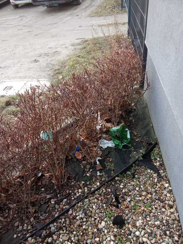 [FOTO] Miasto zaśmiecone po weekendzie. Tego nie zrobili obcy, tylko mieszkańcy Świdnicy.