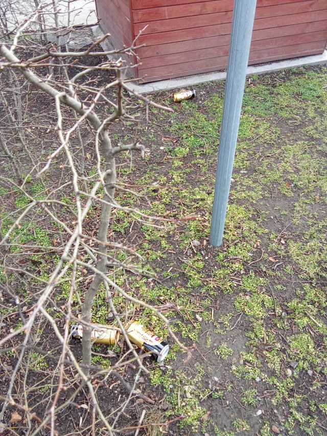 [FOTO] Miasto zaśmiecone po weekendzie. Tego nie zrobili obcy, tylko mieszkańcy Świdnicy.