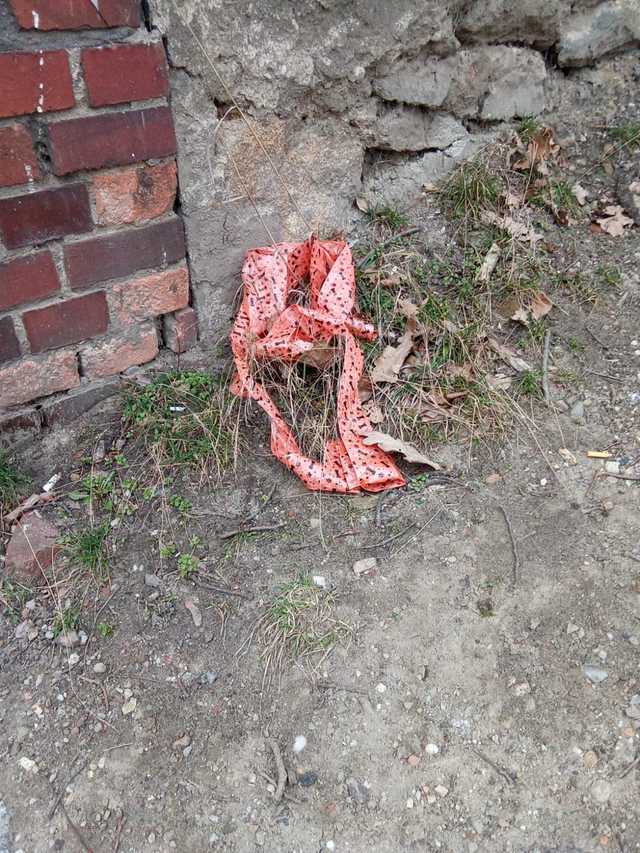 [FOTO] Miasto zaśmiecone po weekendzie. Tego nie zrobili obcy, tylko mieszkańcy Świdnicy.