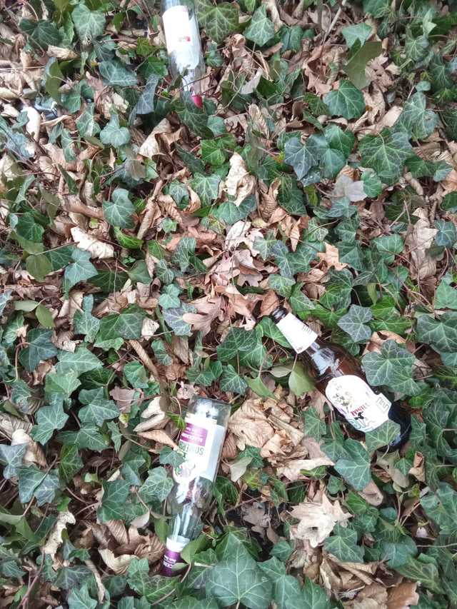 [FOTO] Miasto zaśmiecone po weekendzie. Tego nie zrobili obcy, tylko mieszkańcy Świdnicy.