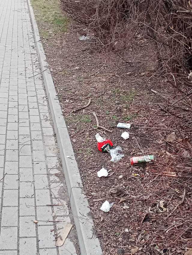 [FOTO] Miasto zaśmiecone po weekendzie. Tego nie zrobili obcy, tylko mieszkańcy Świdnicy.