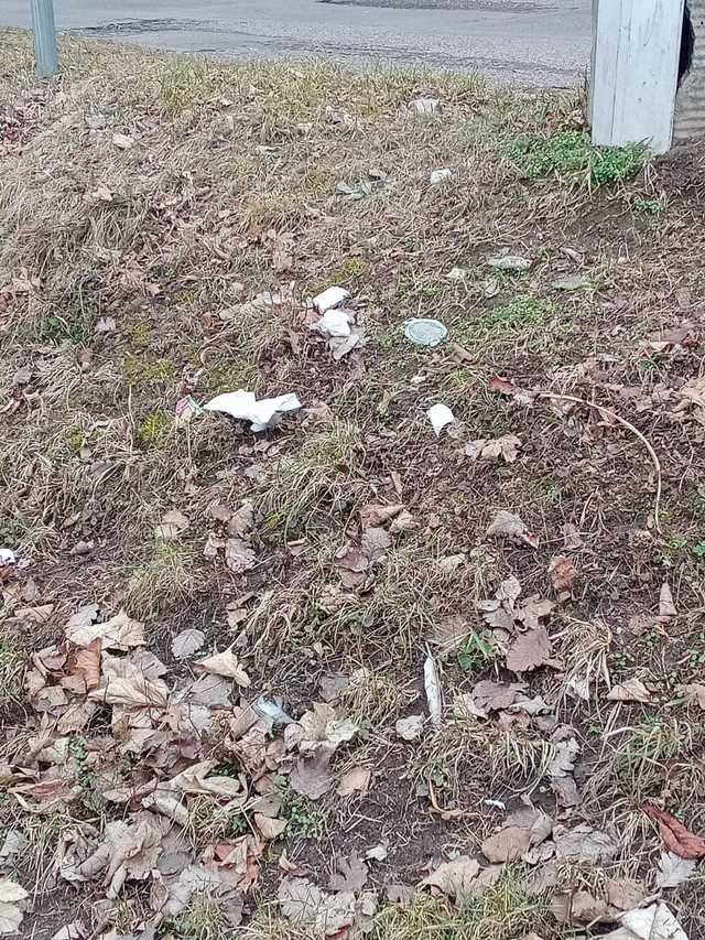 [FOTO] Miasto zaśmiecone po weekendzie. Tego nie zrobili obcy, tylko mieszkańcy Świdnicy.