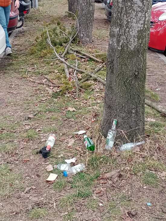 [FOTO] Miasto zaśmiecone po weekendzie. Tego nie zrobili obcy, tylko mieszkańcy Świdnicy.