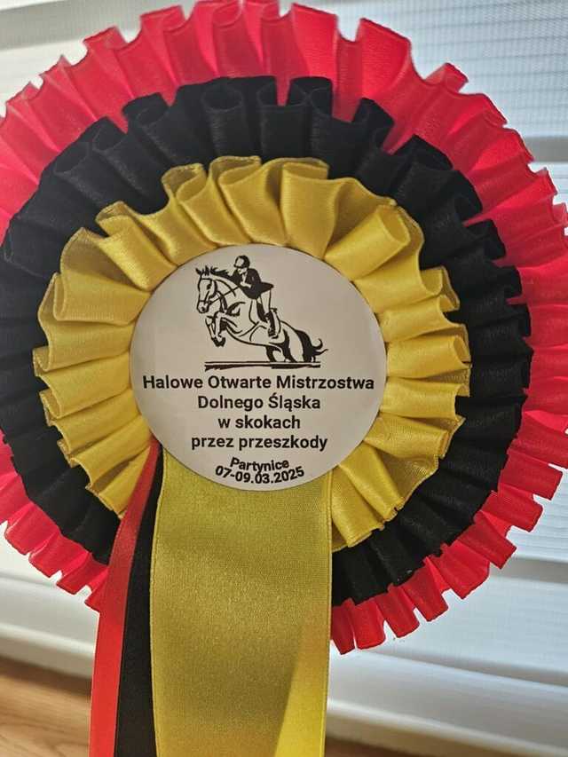 [FOTO] Sukces świebodziczanki na Mistrzostwach Dolnego Śląska w skokach przez przeszkody