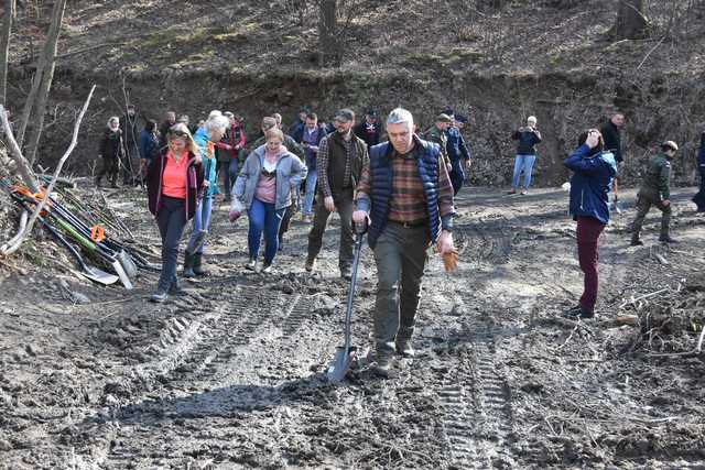 Międzynarodowy Dzień Lasu