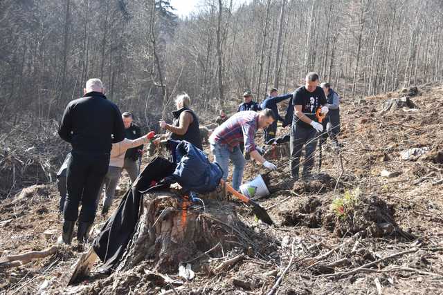 Międzynarodowy Dzień Lasu