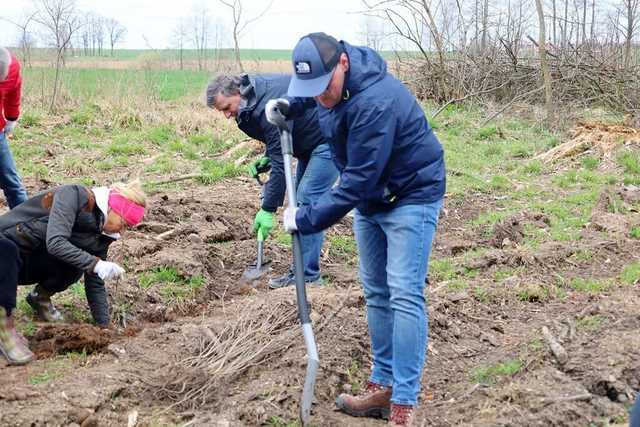 Posadzili drzewa. Wspólna akcja z Nadleśnictwem Świdnica 