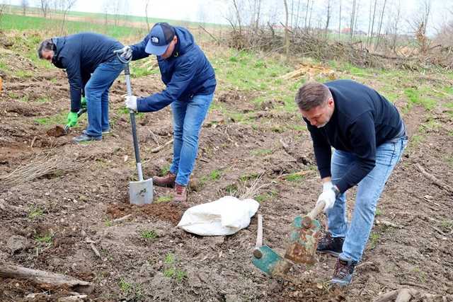 Posadzili drzewa. Wspólna akcja z Nadleśnictwem Świdnica 