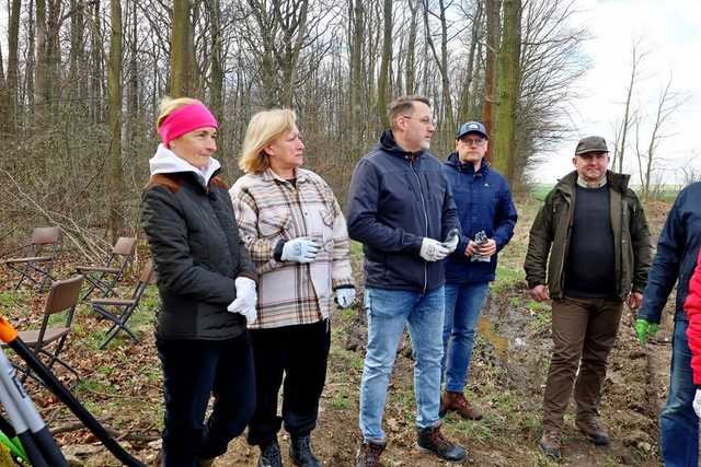 Posadzili drzewa. Wspólna akcja z Nadleśnictwem Świdnica 