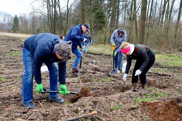 Posadzili drzewa. Wspólna akcja z Nadleśnictwem Świdnica 