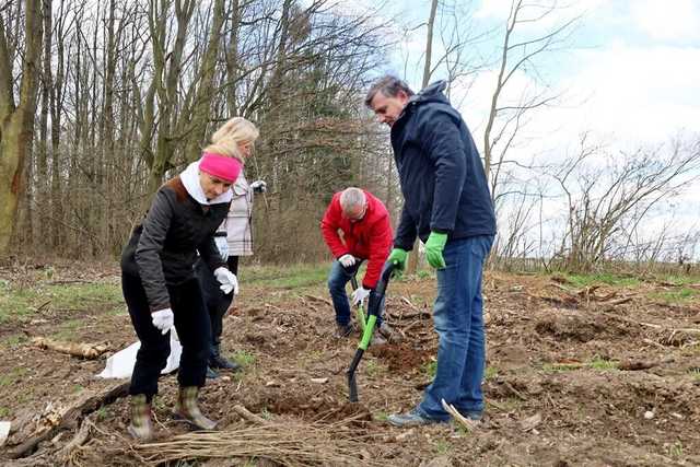 Posadzili drzewa. Wspólna akcja z Nadleśnictwem Świdnica 