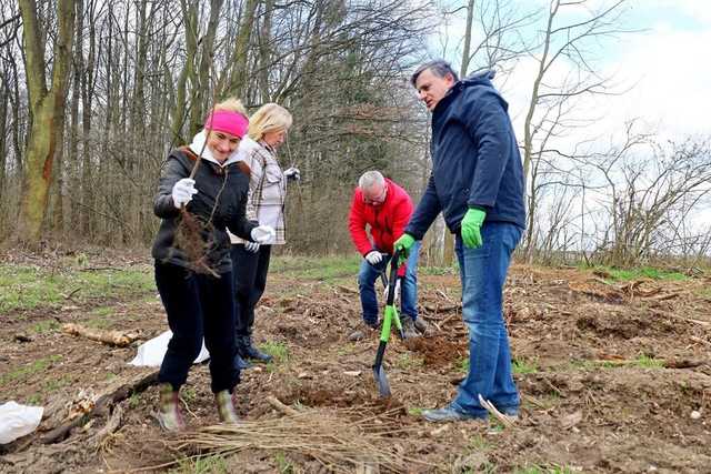 Posadzili drzewa. Wspólna akcja z Nadleśnictwem Świdnica 