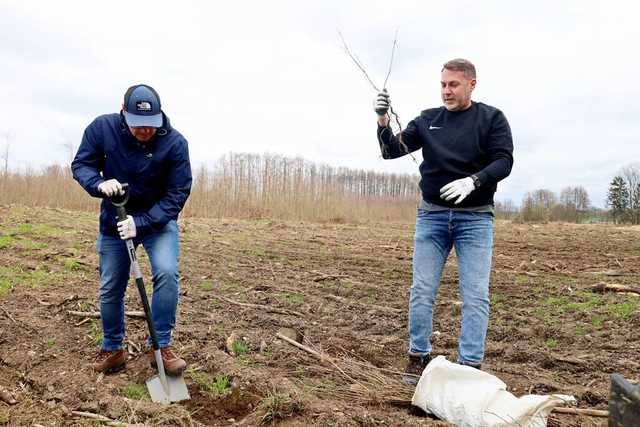 Posadzili drzewa. Wspólna akcja z Nadleśnictwem Świdnica 